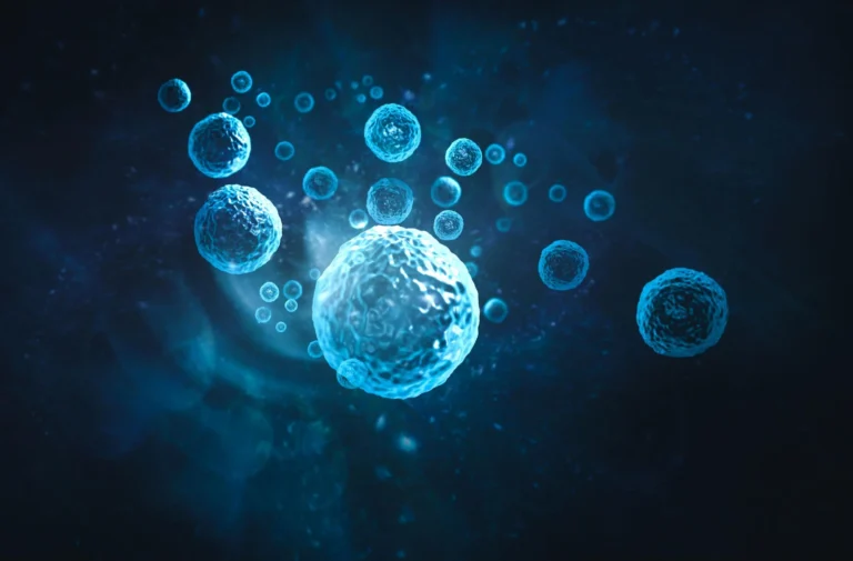 Read more about the article Ląstelės biologinė gyvybė yra esminė viso organizmo gyvybė