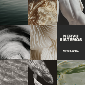 Vidinis signalas: nervų sistemos meditacija